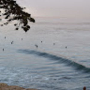 Meet your Posher, Ahnise